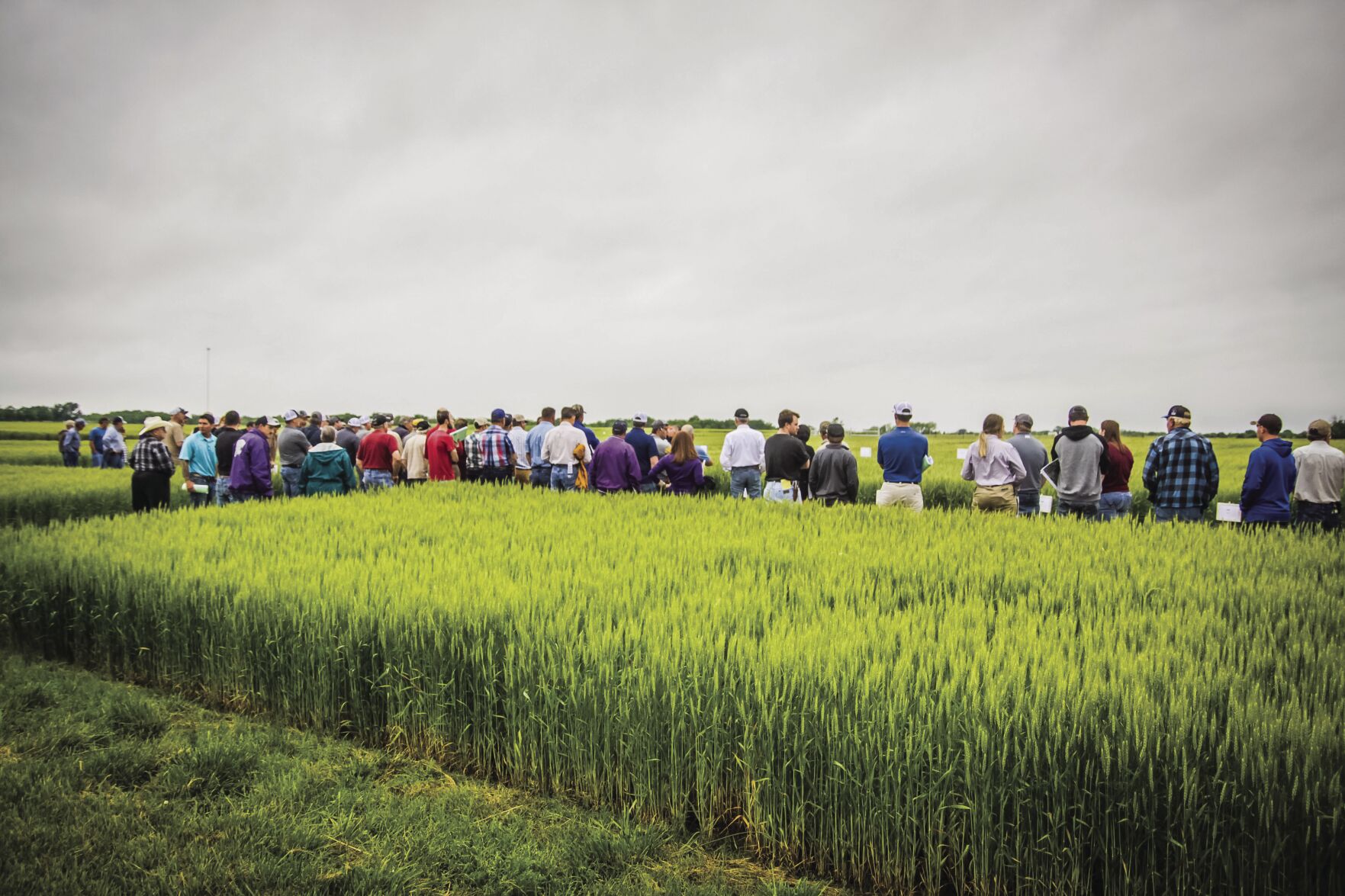 Spring Crops Field Day